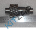 ��� ������ �������� ����
